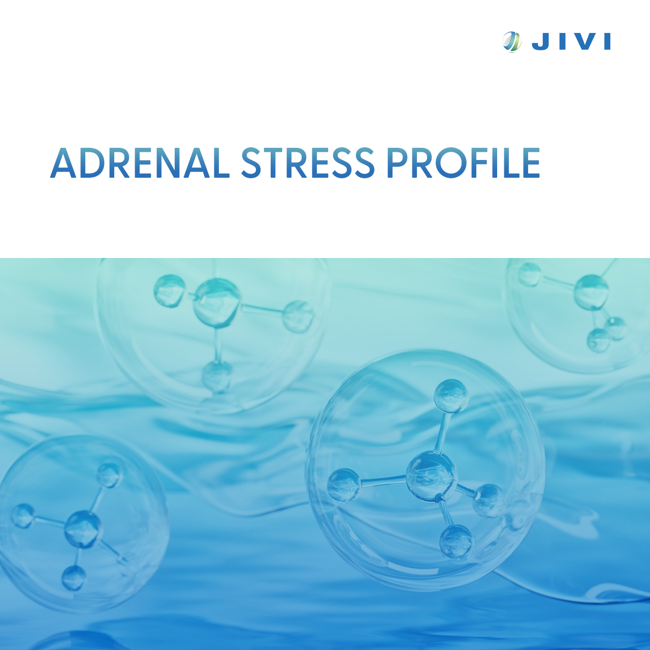 Adrenal Stress Profile