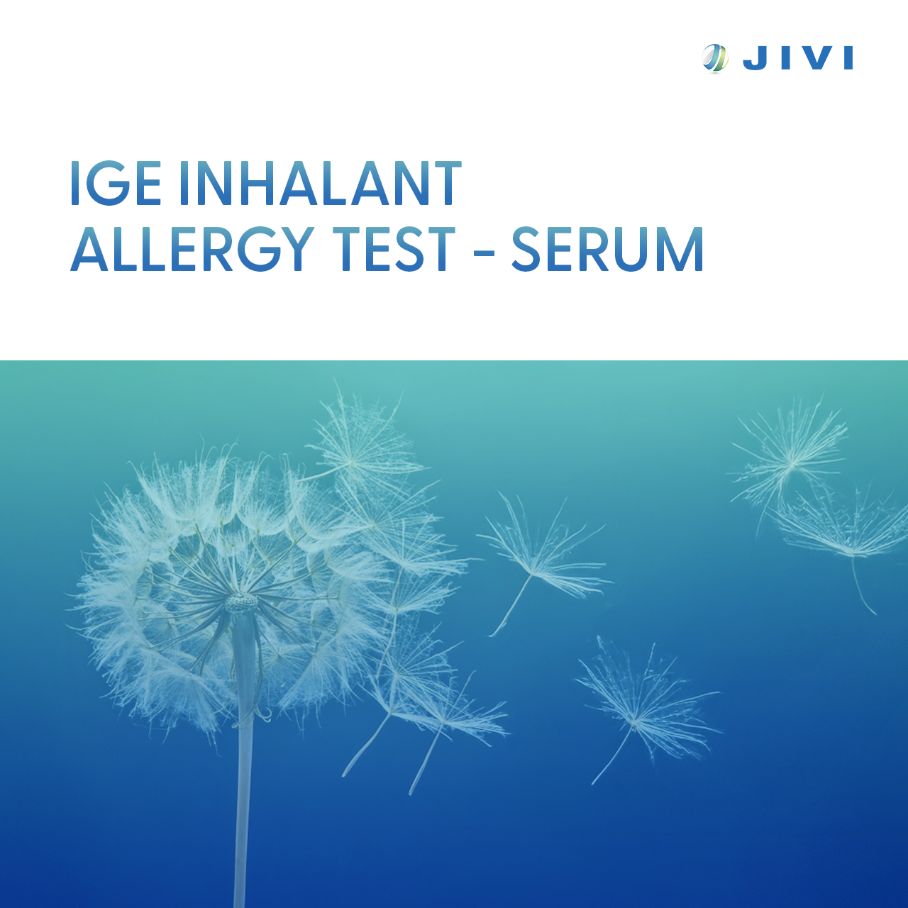 IgE Inhalant Allergy Test – Serum