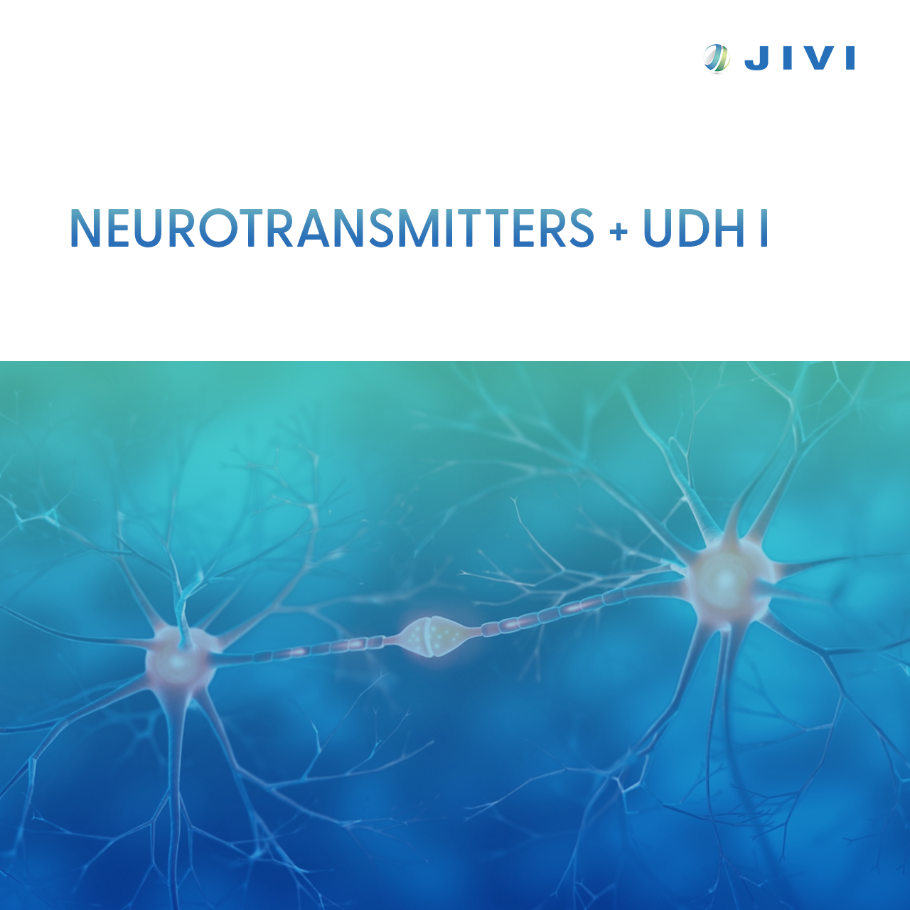 Neurotransmitters + UDH I