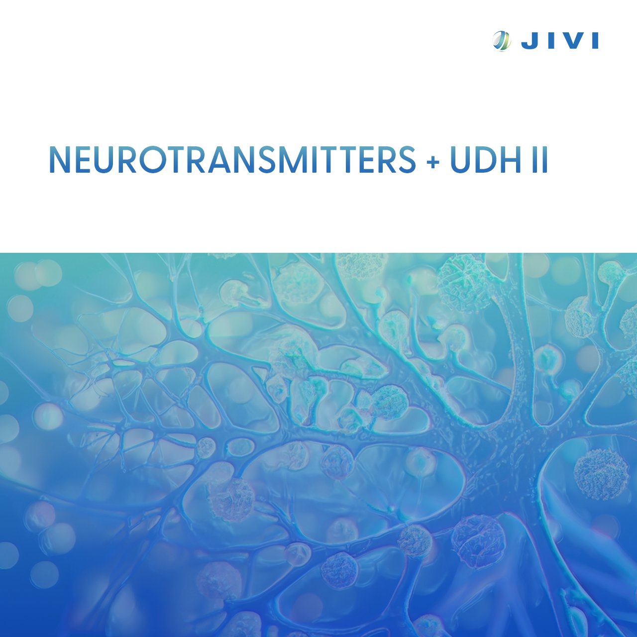Neurotransmitters + UDH II