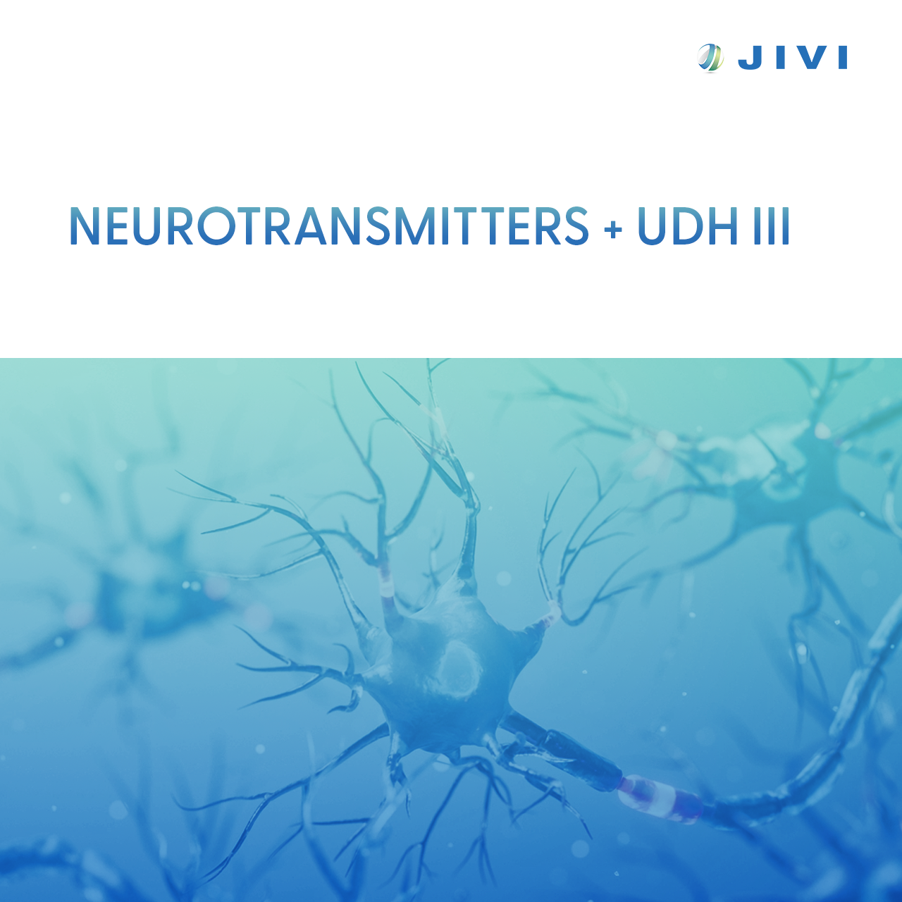 Neurotransmitters + UDH III