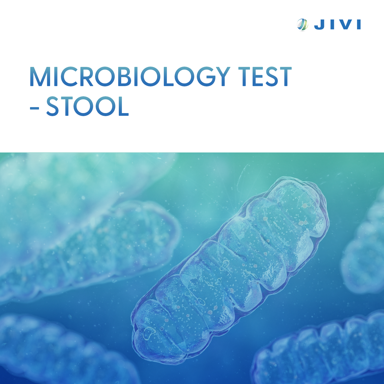 Microbiology Test – Stool