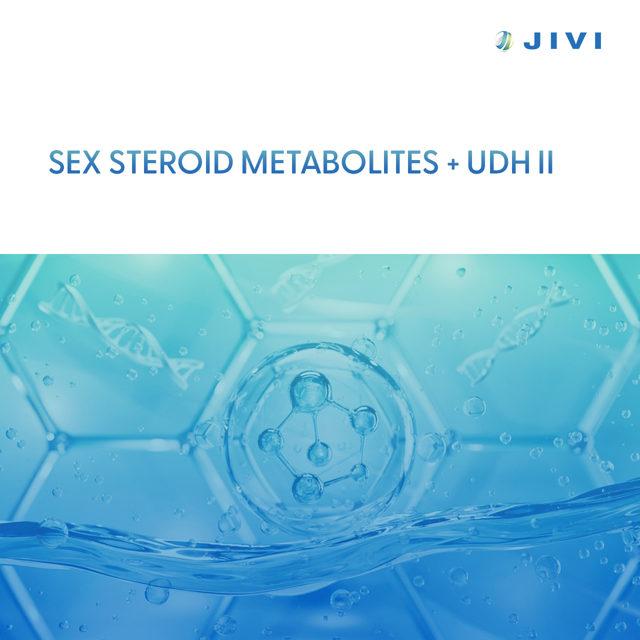 Sex Steroid Metabolites + UDH II