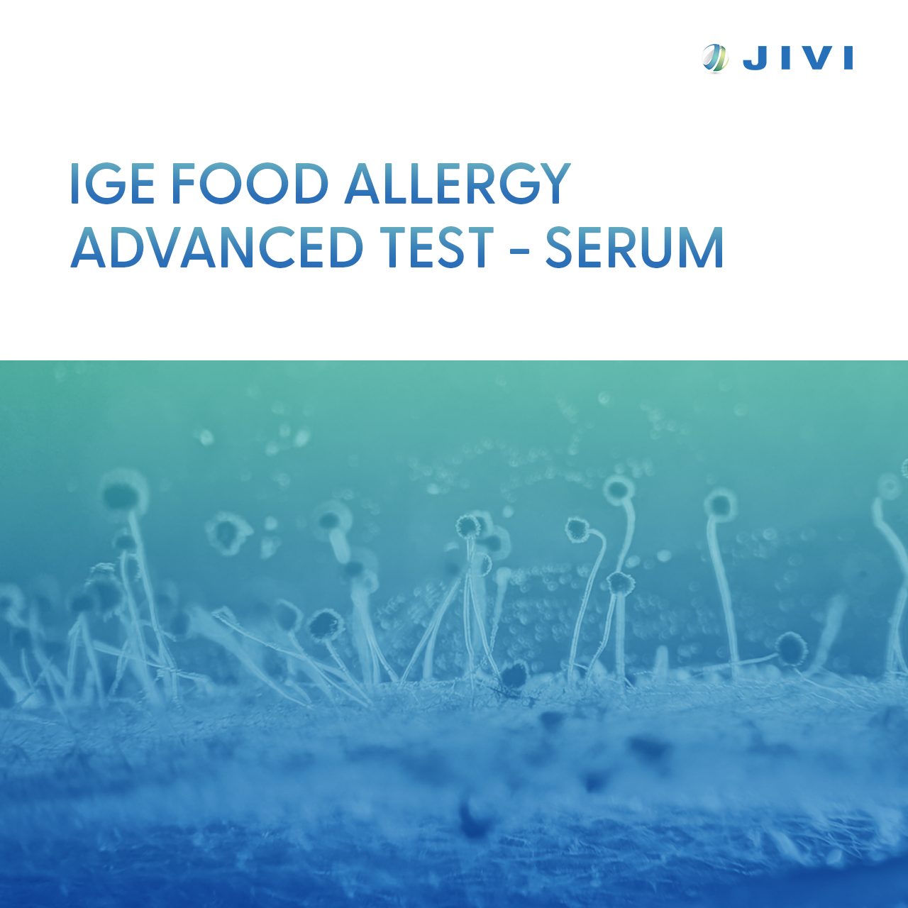 IgE Food Allergy Advanced Test – Serum
