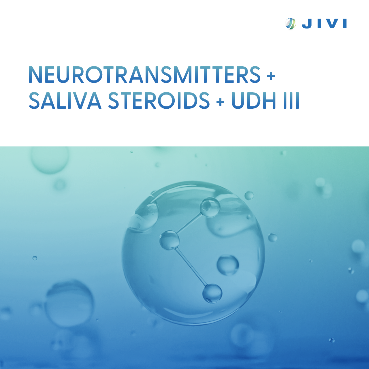 Neurotransmitters + Saliva Steroids + UDH III