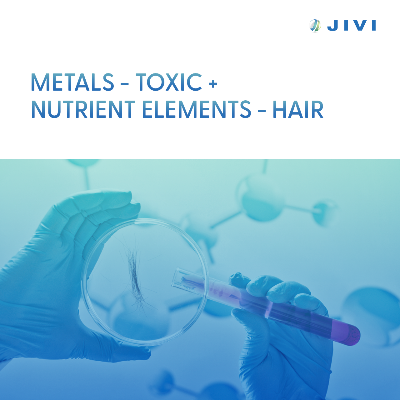 Metals – Toxic + Nutrient Elements – Hair
