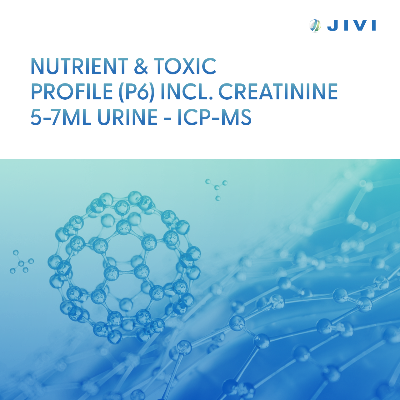 Nutrient & Toxic Profile (P6) <small>incl. Creatinine – 5-7ml Urine – ICP-MS</small>